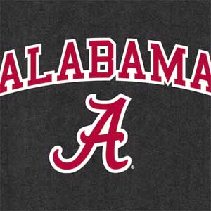University of Alabama Logo Xbox 360 (Includes HDD) Skin